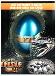 Dinozaur Jajo do Wyklucia Wzrostu MAGIC DINOSAUR EGG